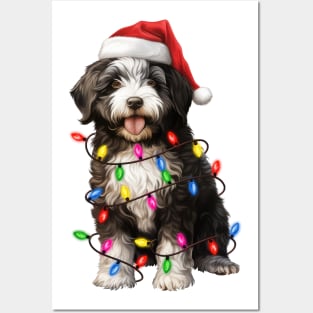 Christmas Portuguese Water Dog Posters and Art